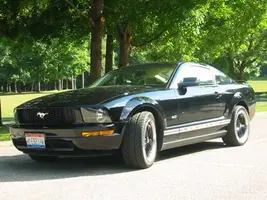 Mustang1.webp