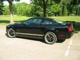 Mustang 3.webp