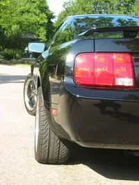 Mustang 6.webp