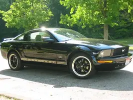 Mustang 9.webp