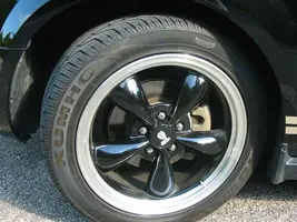 Mustang 15.webp