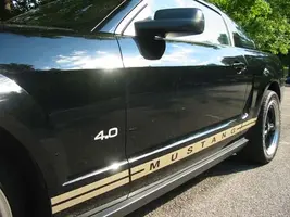 Mustang 16.webp