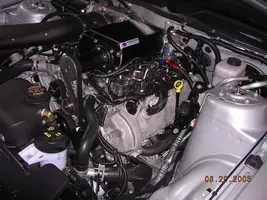 motorside.webp