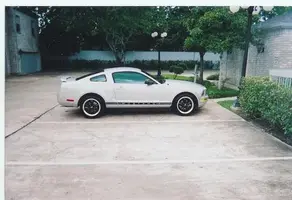 mustang.webp