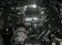 stangnet engine.webp