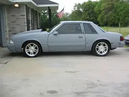 MustangPics 008.webp
