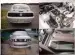 Stang 1.webp