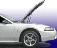 sideview01.webp