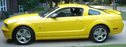 Mustang 2.webp