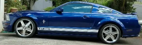 Profile Sm2.webp
