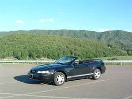 Stang1.webp