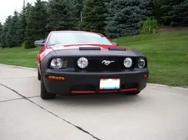 Mustang Bra 1.webp