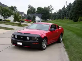 Mustang Bra 2.webp