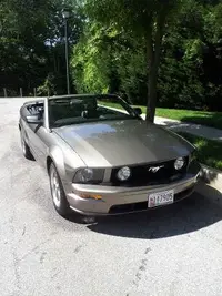 20140601_152152.webp
