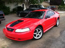 stang one.webp