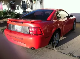 stang two.webp