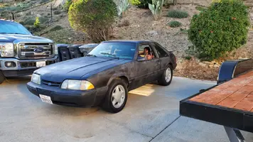 Mustang.webp