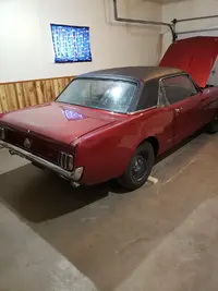 mustang garage 3.webp