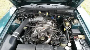mustang6.webp