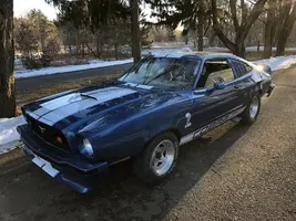 cobra.webp