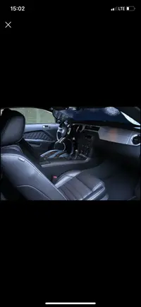 pic1.webp