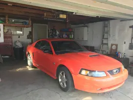 stang.webp