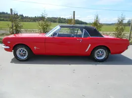DSCN7189.webp
