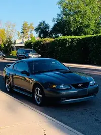 mach1 1.webp