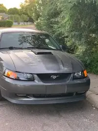 mach1 2.webp