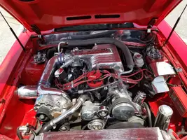 20190525_142851.webp