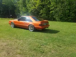 Fox rear.webp