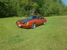 Fox side.webp