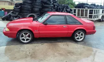 stang.webp