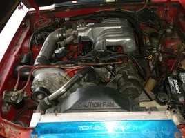 DSCF1487.webp