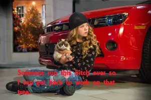 grumpycat.webp