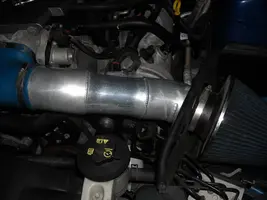 CAI-1a.webp