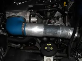CAI-1b.webp
