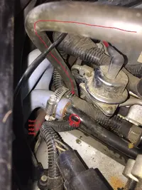 stang rear hose.webp