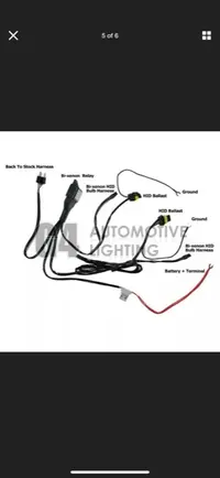 pic4.webp