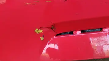 rear-close.jpg rear-close.jpg