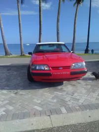 KIMG0397.webp KIMG0397.webp