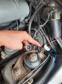 117717497_312074293343493_8573978254707321080_n.jpg 117717497_312074293343493_8573978254707321080_n.jpg