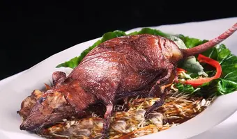 rat.webp