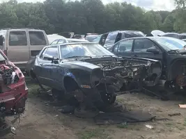 Boneyard1.webp