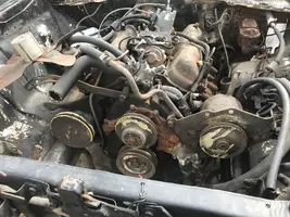 boneyard2.webp
