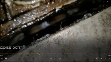 2004StangLeak07.webp