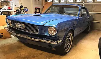 Mustang 1.webp