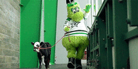 tumblr_ppb0ruRNgF1x7gmzzo2_500.gif