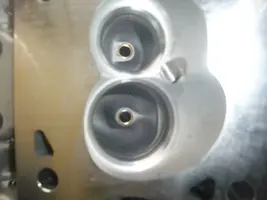 DSCF3735.webp