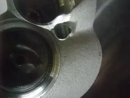 DSCF3743.webp
